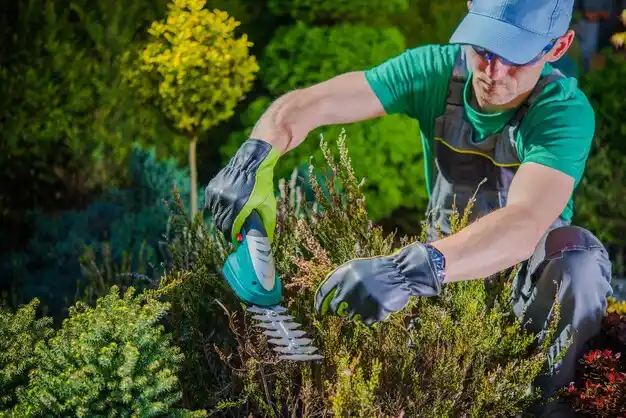 landscaping services Adrian